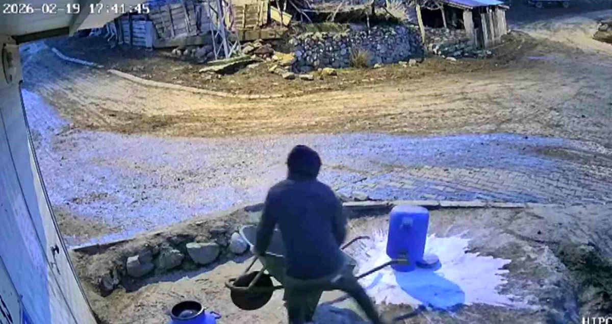 Bir bidon sütü deviren gencin çaresiz anları kamerada