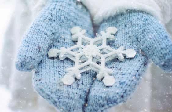 Bitlis okullar tatil mi, 26 Şubat Perşembe Bitlis'te okul yok mu (BİTLİS VALİLİĞİ - KAR TATİLİ)?