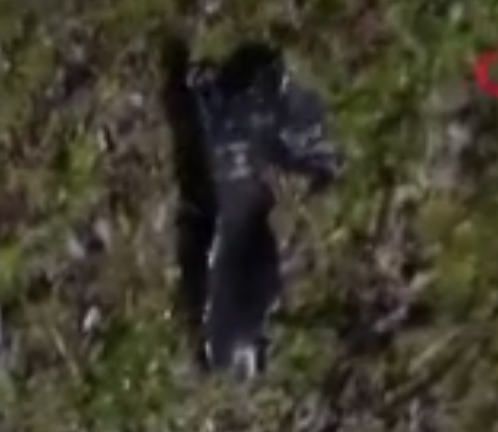 First images from the wreckage! Heartbreaking detail about our martyred pilot
