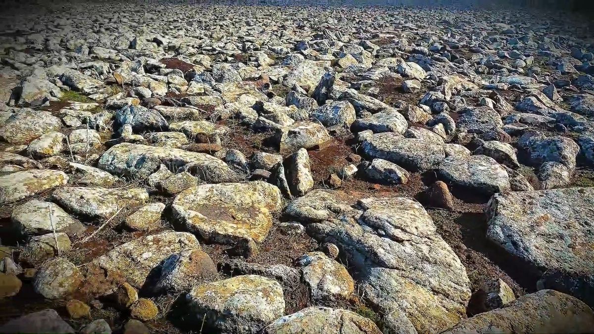 Şanlıurfa'da volkanik bazalt taşlarının altında cephanelik ele geçirildi: 8 gözaltı