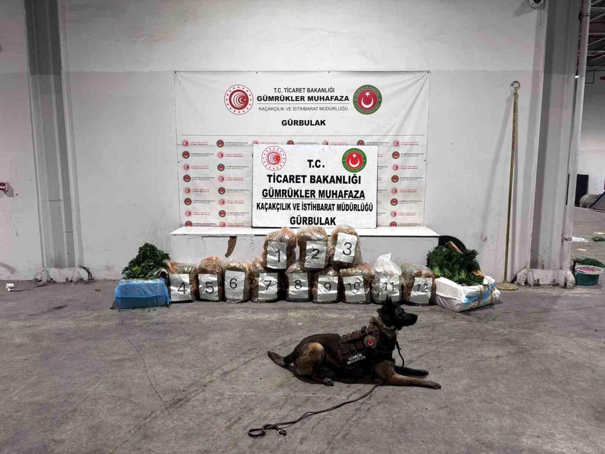 Ağrı'da Gürbulak Sınır Kapısı'nda 51 kilo 520 gram esrar ele geçirildi