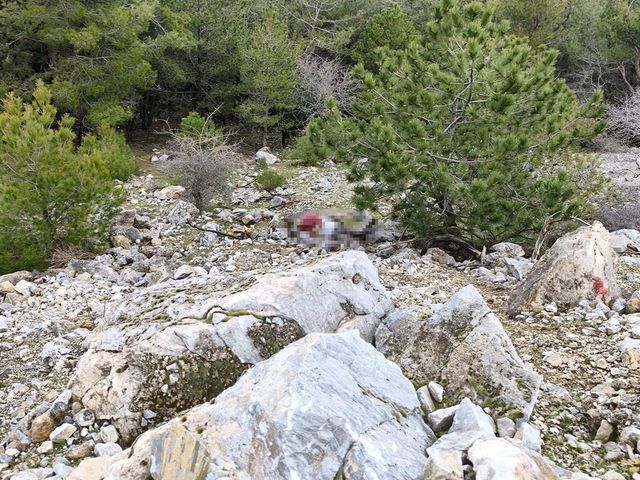 'Dynamite killed him,' they said! Chilling statement regarding the body found at the cliff