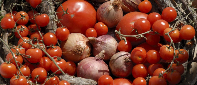 A tomato from our district