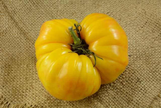 A tomato from our district
