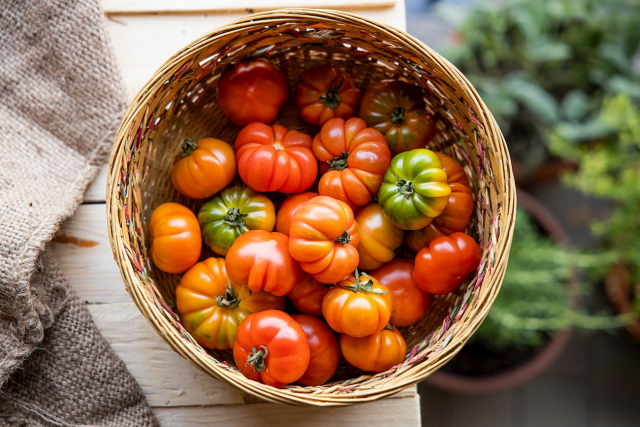 A tomato from our district