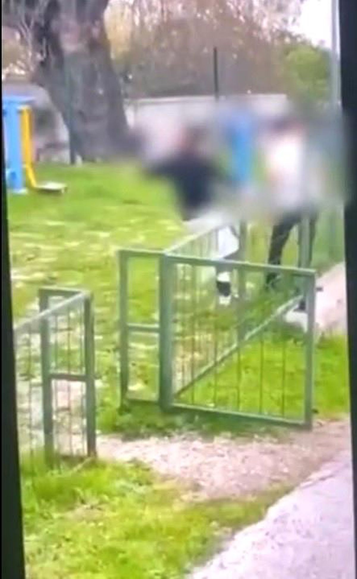Bodrum'da akran zorbalığı: Çocuğu feci şekilde darbederek bayılttı