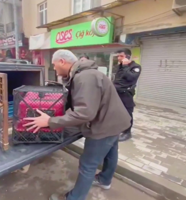 istanbul da catidan catiya atlayan maymun 19605342 7213 m