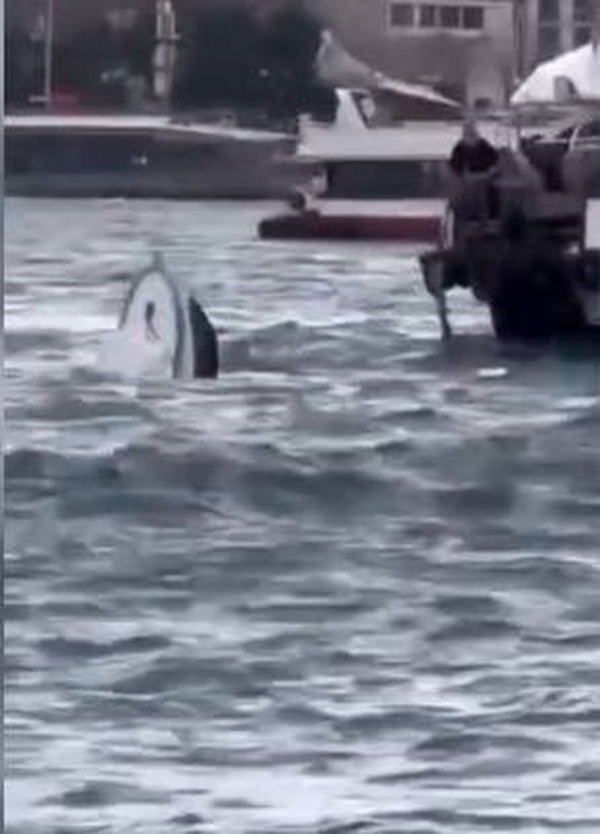Karaköy'de yolcu vapuru tekneye çarptı; balıkçı denize düştü