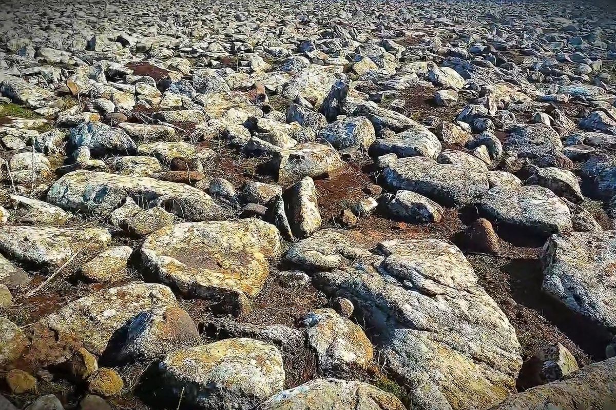 Şanlıurfa'da volkanik bazalt taşlarının altında cephanelik ele geçirildi: 8 gözaltı