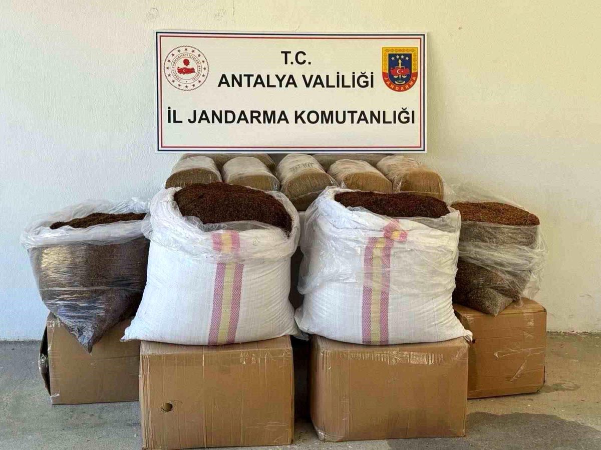Antalya'da yolcu otobüsünde yarım ton kaçak tütün ele geçirildi