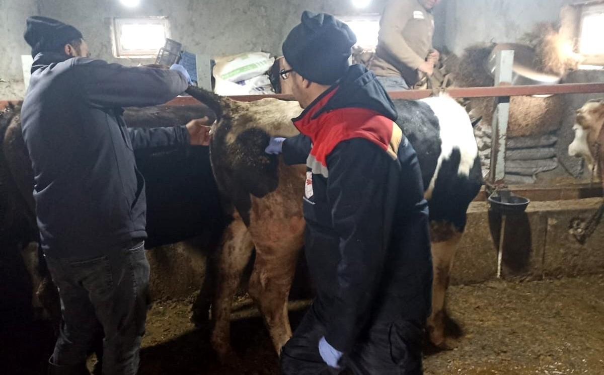 Beyşehir'de şap ile mücadelede çalışmaları