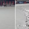 Sizce burada maç oynanır mı? Yorum sizin
