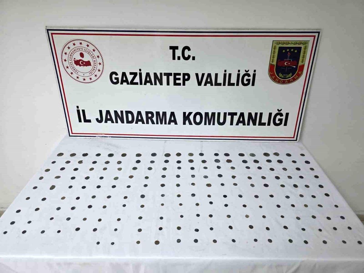 Gaziantep'te 195 adet sikke ele geçirildi: 1 gözaltı