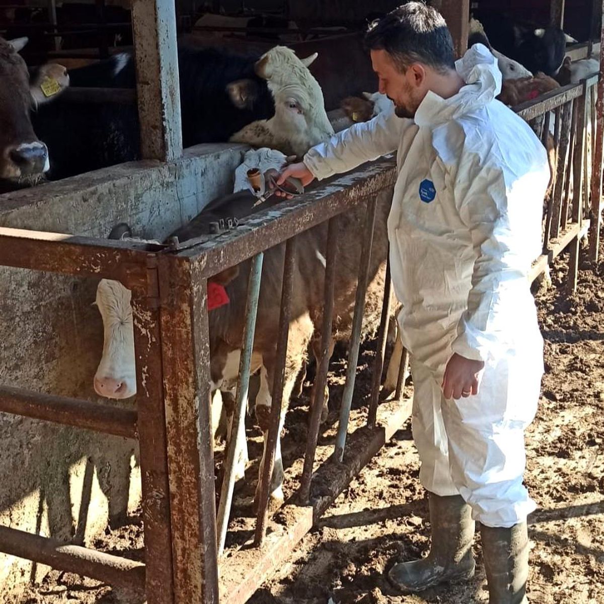Hayvan sağlığı güvence altına alınıyor