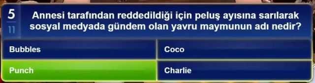Annesi tarafından reddedildiği için peluş ayısına sarılarak sosyal medyada gündem olan yavru maymunun adı nedir?