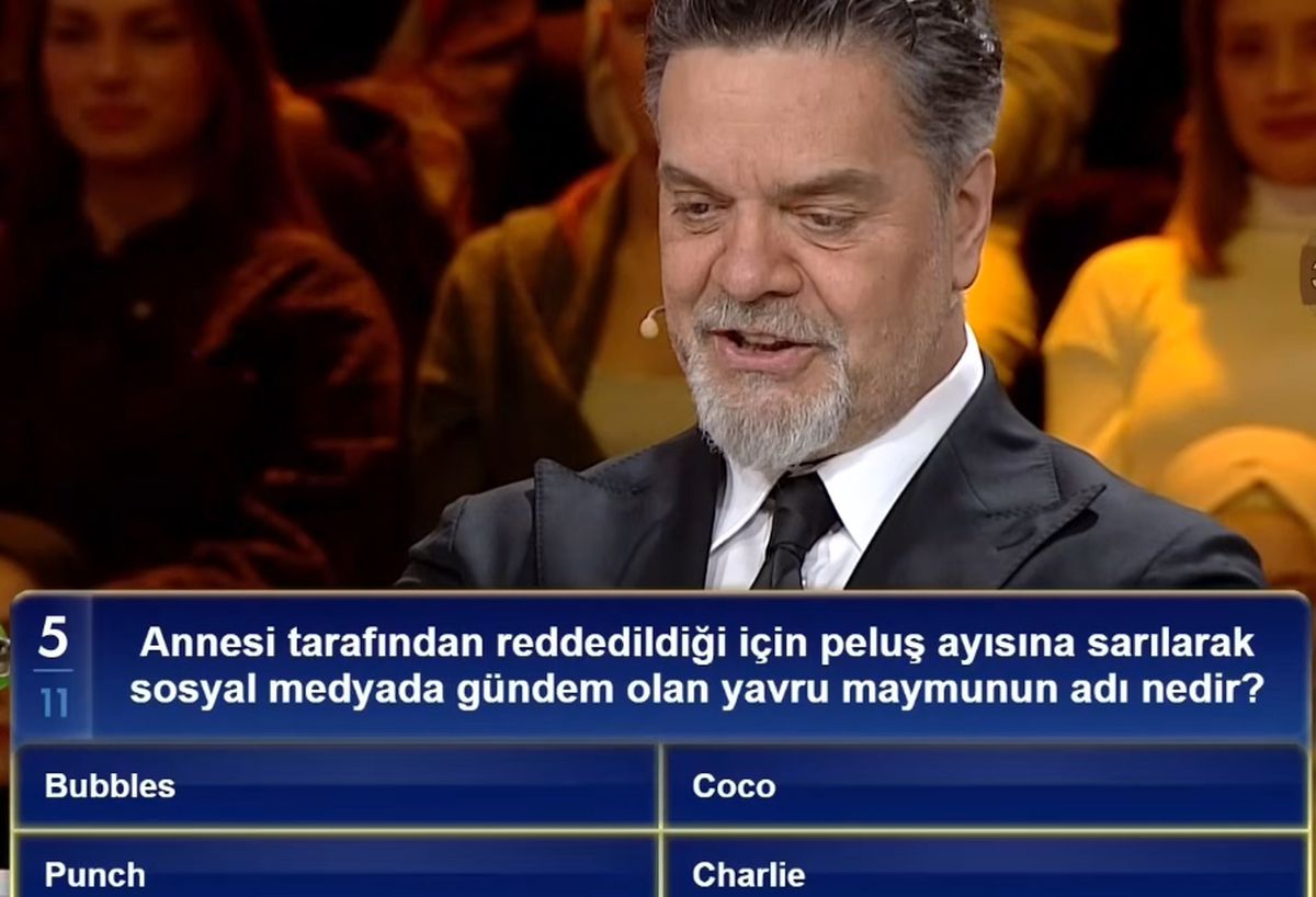 Annesi tarafından reddedildiği için peluş ayısına sarılarak sosyal medyada gündem olan yavru maymunun adı ...
