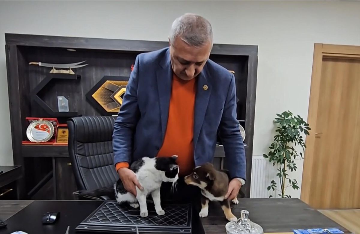 Başkanın makamı Mia ve Fındık'ın yuvası oldu
