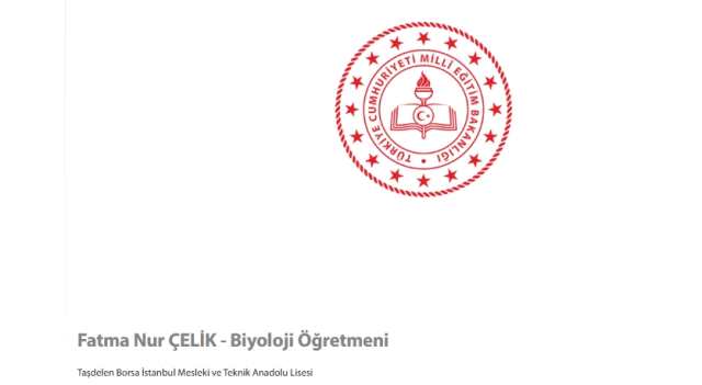 Fatma Nur Çelik hangi okulda öğretmendi, branşı neydi, ne öğretmeniydi?
