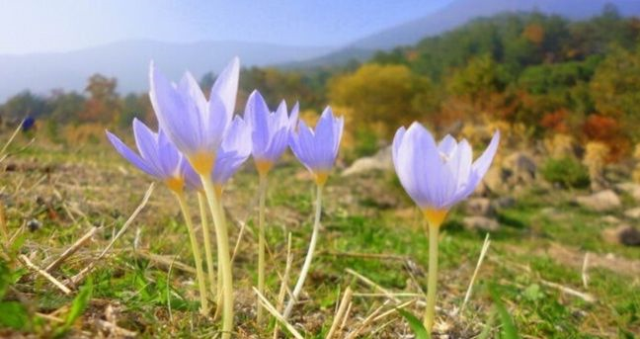 Cemre düştü mü? Üçüncü cemre ne zaman düşecek? Son cemre toprağa düştü mü, ne zaman düşecek?