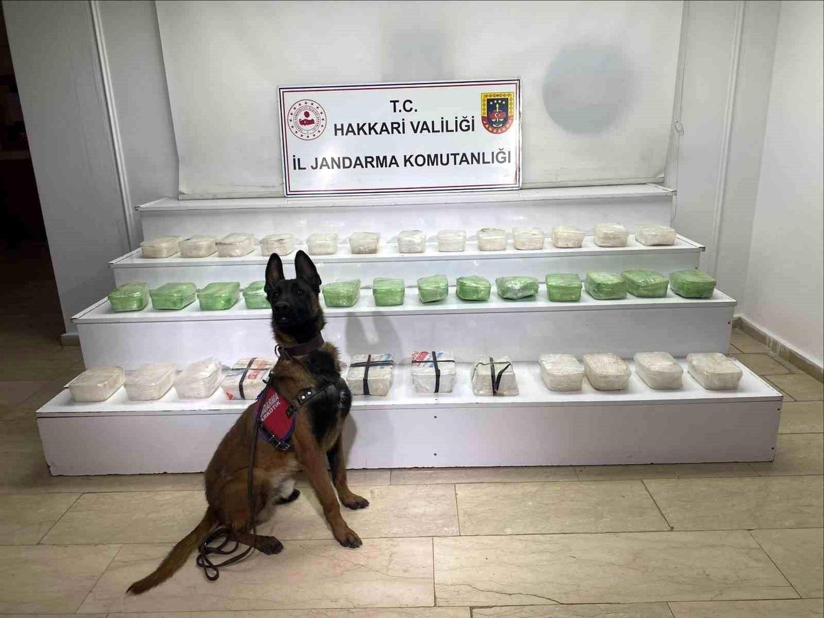 Hakkari'de 43 kilo metamfetamin ele geçirildi