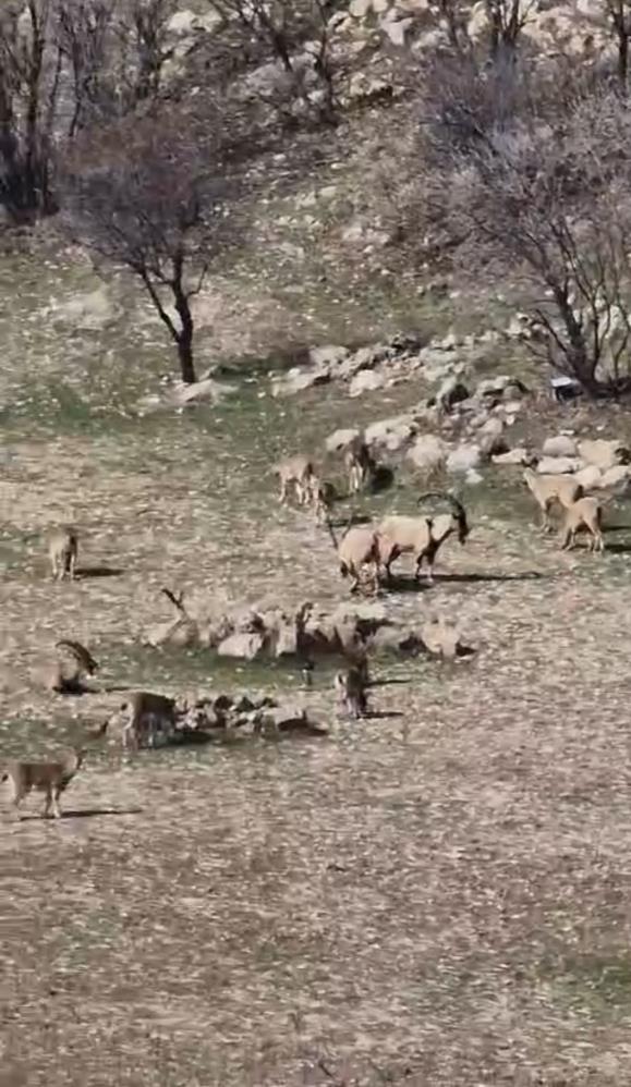 el surmenin cezasi 940 bin lira suru halinde 19627033 1268 m