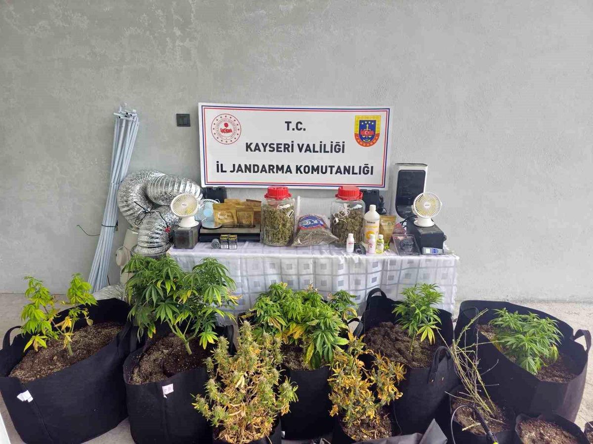 Kayseri'de evinde uyuşturucu yetiştiren şüpheli gözaltına alındı