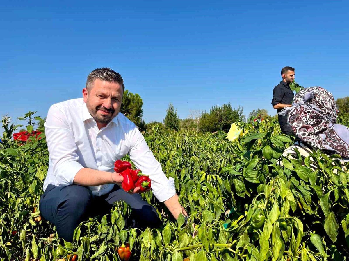 Başkan Aydemir'den, Balıkesir çiftçisine 867 milyon TL'lik müjde