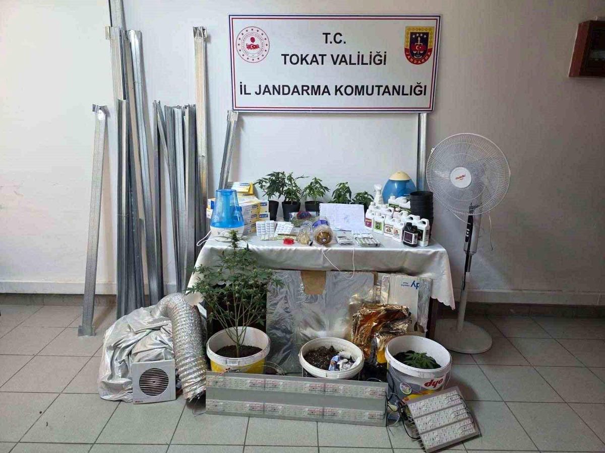 Bilgi notuyla apartman dairesinde uyuşturucu serası kurdular, jandarmadan kaçamadılar