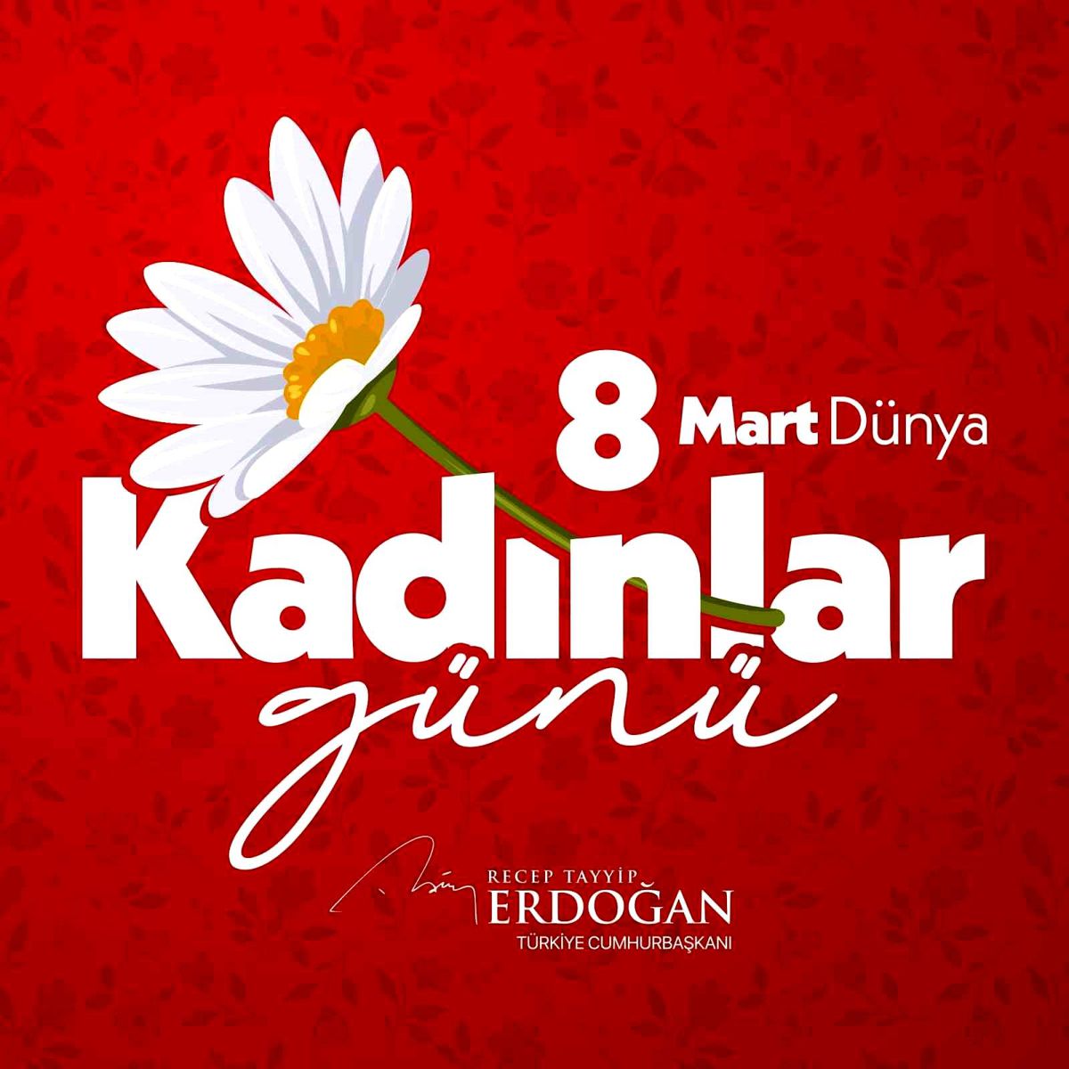 Cumhurbaşkanı Erdoğan: "Hayatımıza anlam katan, değer katan tüm kadınların 8 Mart Dünya Kadınlar Günü'nü t...