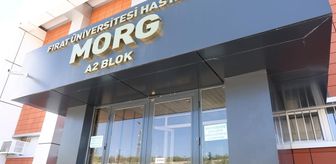 Oğlunu bıçaklayan adamı, av tüfeğiyle vurarak öldürdü