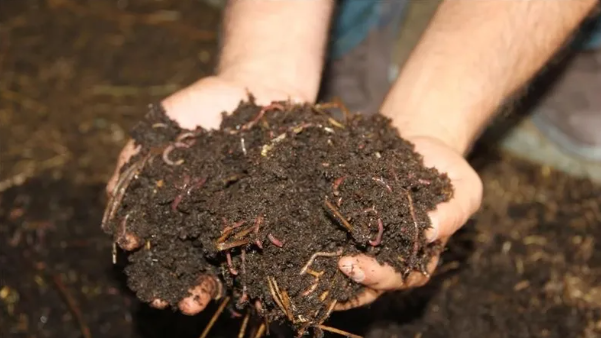 The war in the Middle East has hit the fields! A global food crisis is looming