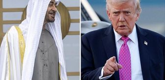 BAE Devlet Başkanı Bin Zayid, ABD Başkanı Trump'la görüştü
