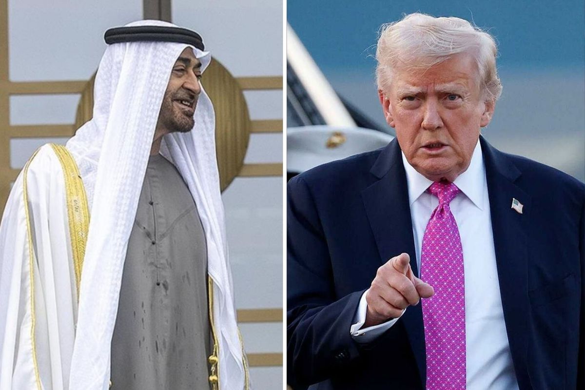 BAE Devlet Başkanı Bin Zayid, ABD Başkanı Trump'la görüştü