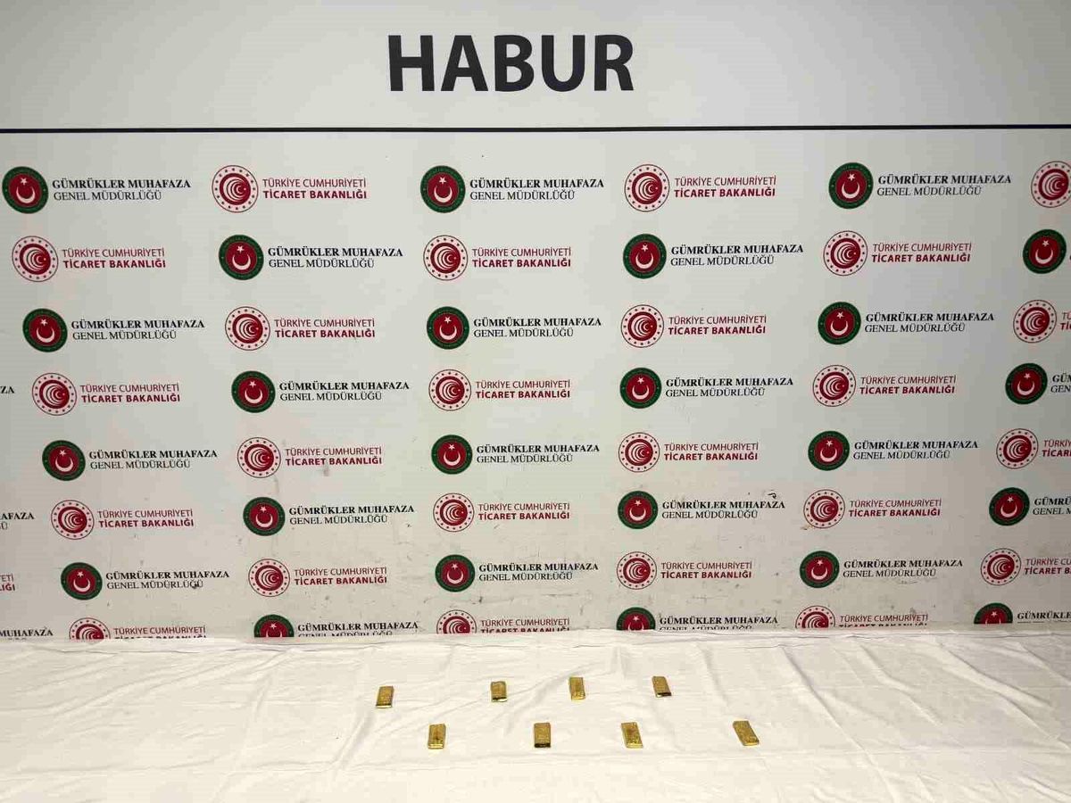 Habur'da tırda yapılan aramada, yaklaşık 14.6 milyon liralık altın ele geçirildi
