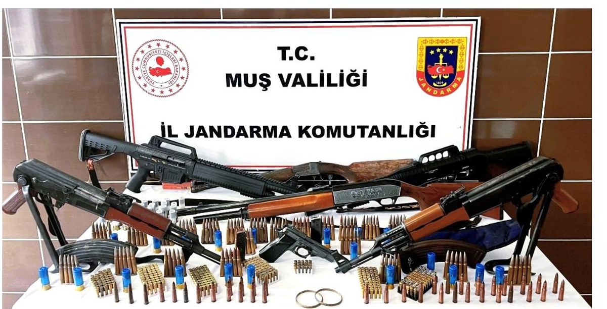 Muş'ta jandarmadan silah ve tarihi eser operasyonu