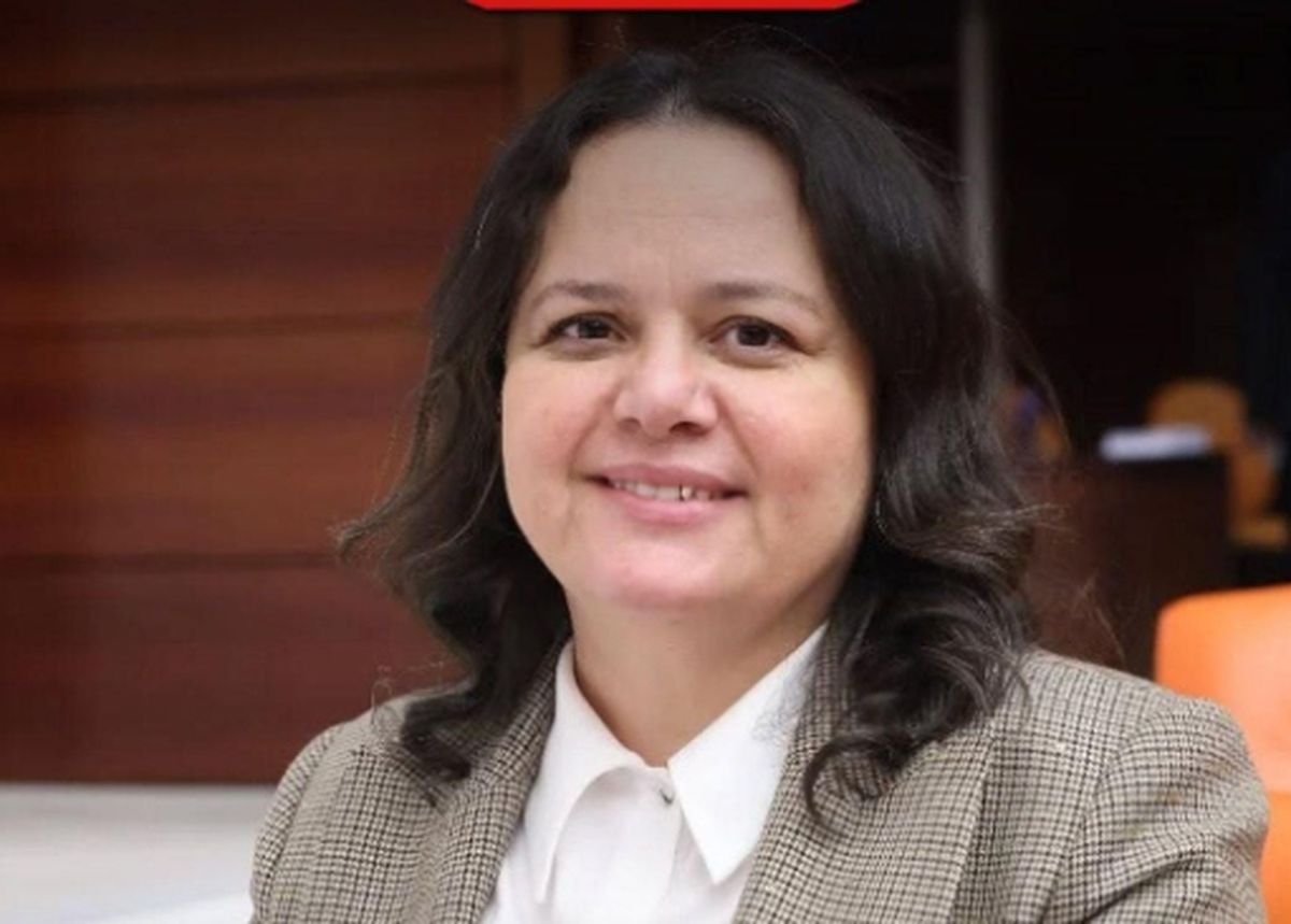 Nilgün Ök kimdir, Nilgün Ök hangi partili?