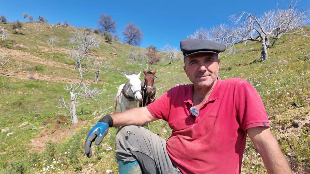 aydin da gunluk 8 bin tl ye at ile cift surecek 19643548 3380 m