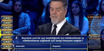 Beynimiz yeni bir şey keşfettiğinde bizi ödüllendirmek ve odaklanmamızı sağlamak için hangi kimyasali salgılar?