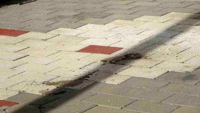 canakkale de 5 kattan dusen restarotor tugba 4 19642182 o