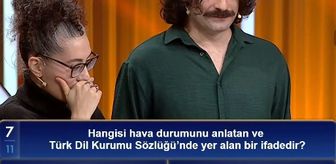 Hangisi hava durumunu anlatan ve Türk Dil Kurumu Sözlüğü'nde yer alan bir ifadedir?