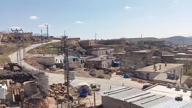inekteki kuduz suphesi nedeniyle mahalle 19643374 216 m