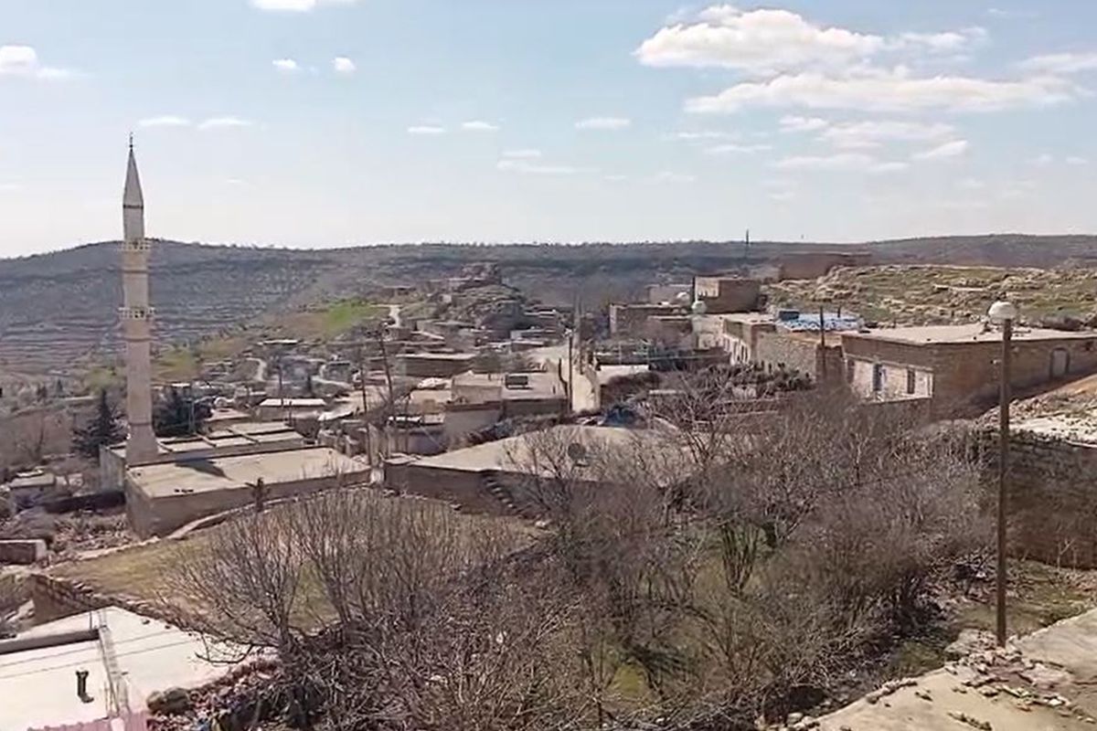 İnekteki kuduz şüphesi nedeniyle mahalle karantinaya alındı