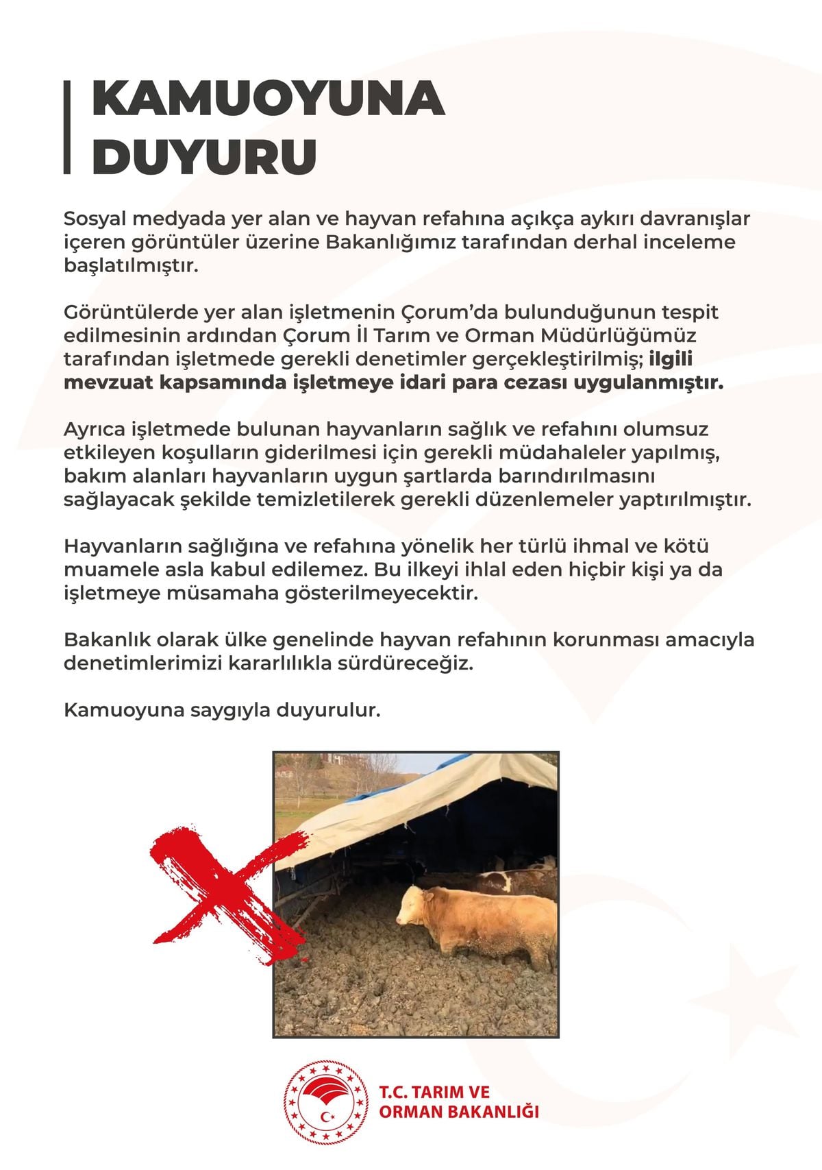 Bakanlıktan, işletmede hayvanlara kötü muameleye ceza