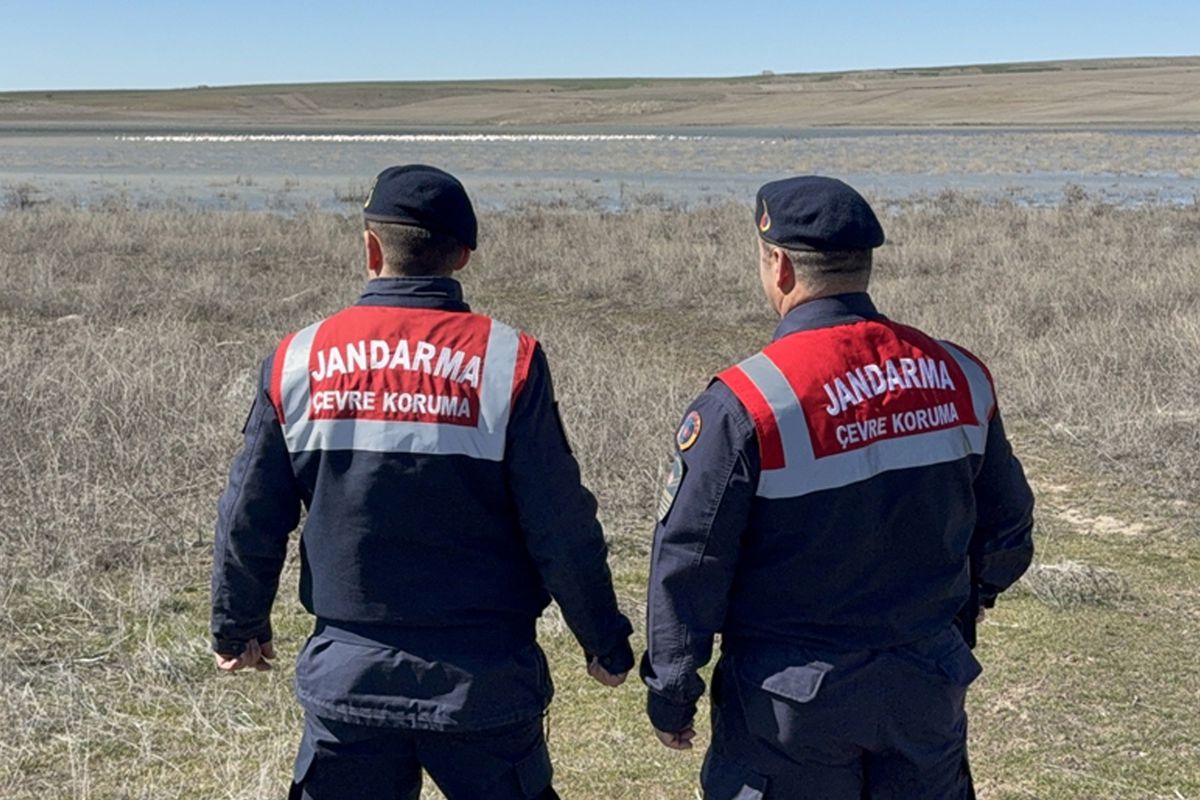 Jandarma flamingolar için 24 saat mesaide
