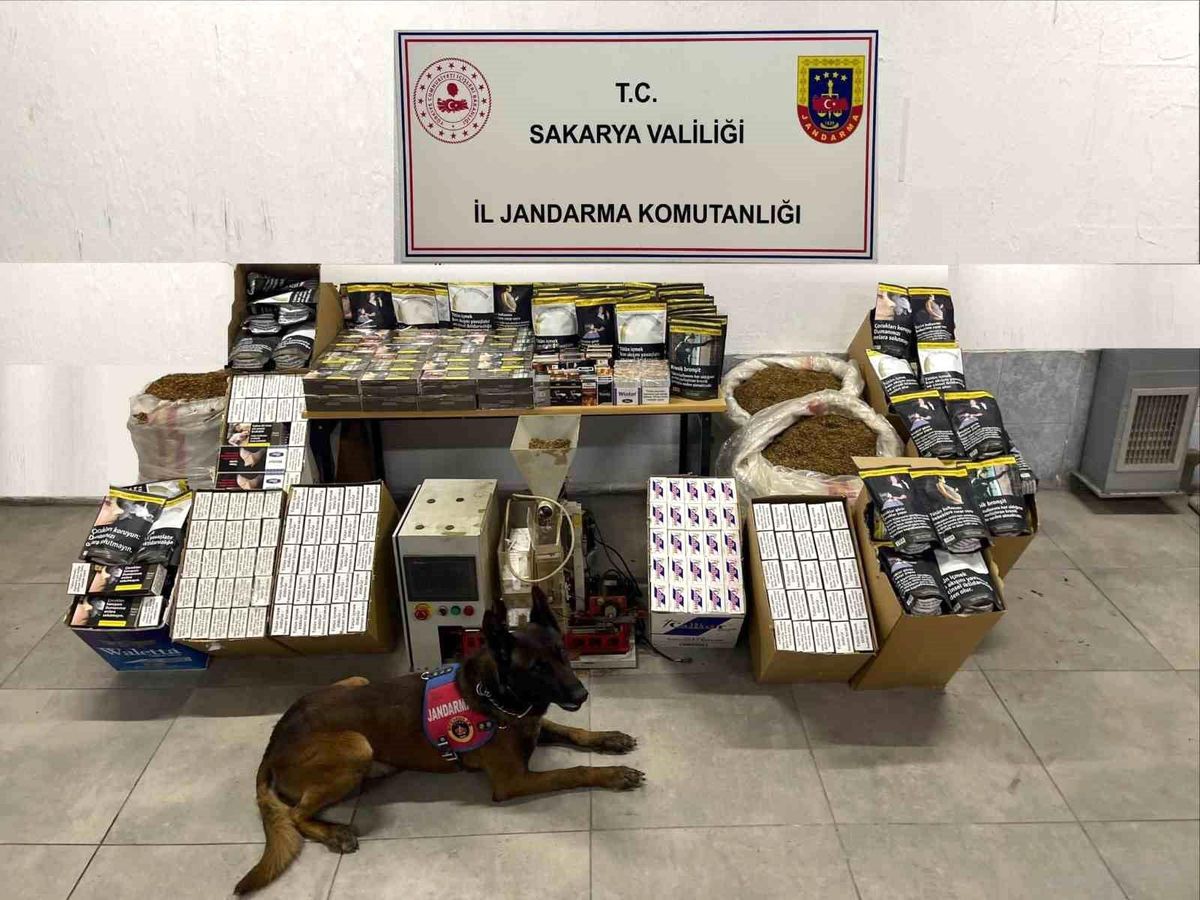 Sakarya'da jandarma ekipleri kaçakçılığa geçit vermiyor: 3 gözaltı