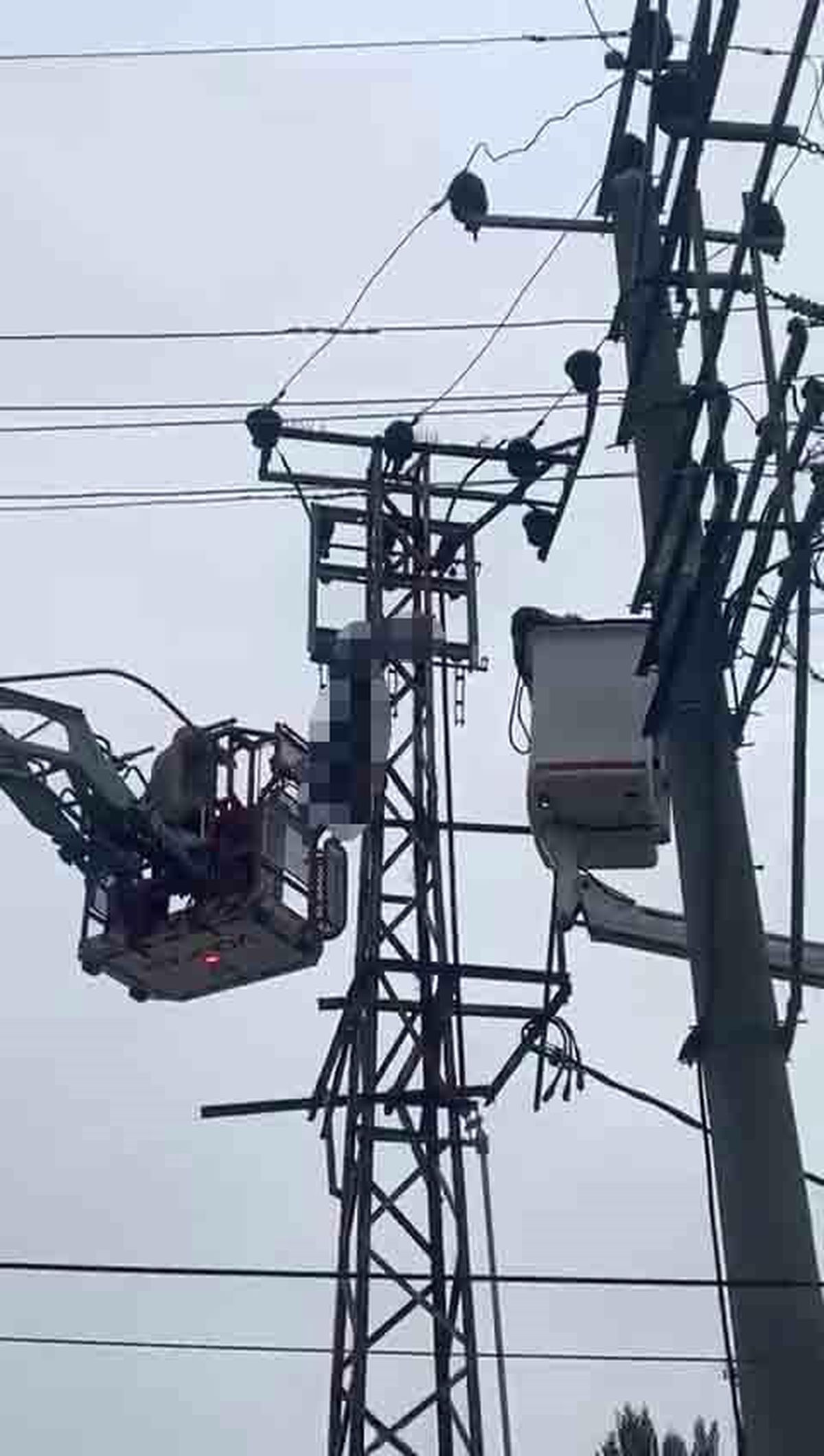Hırsızlık için çıktığı elektrik direği sonu oldu