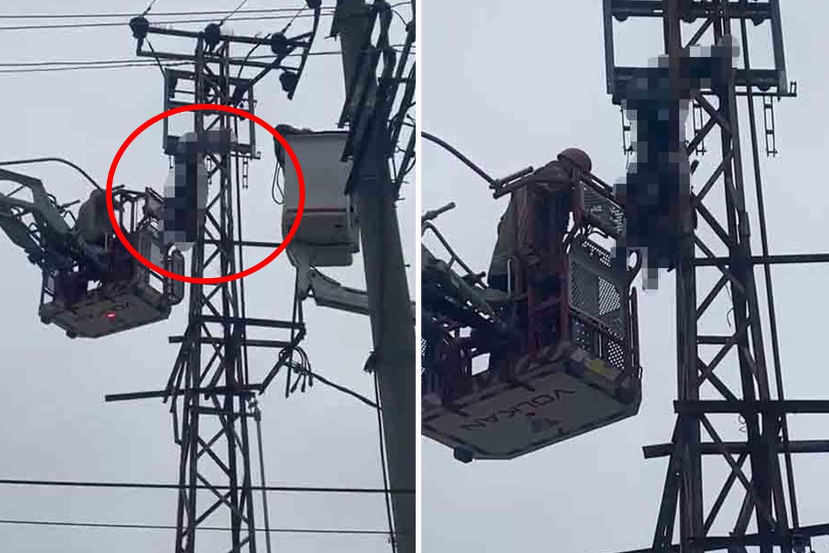Hırsızlık için çıktığı elektrik direği sonu oldu
