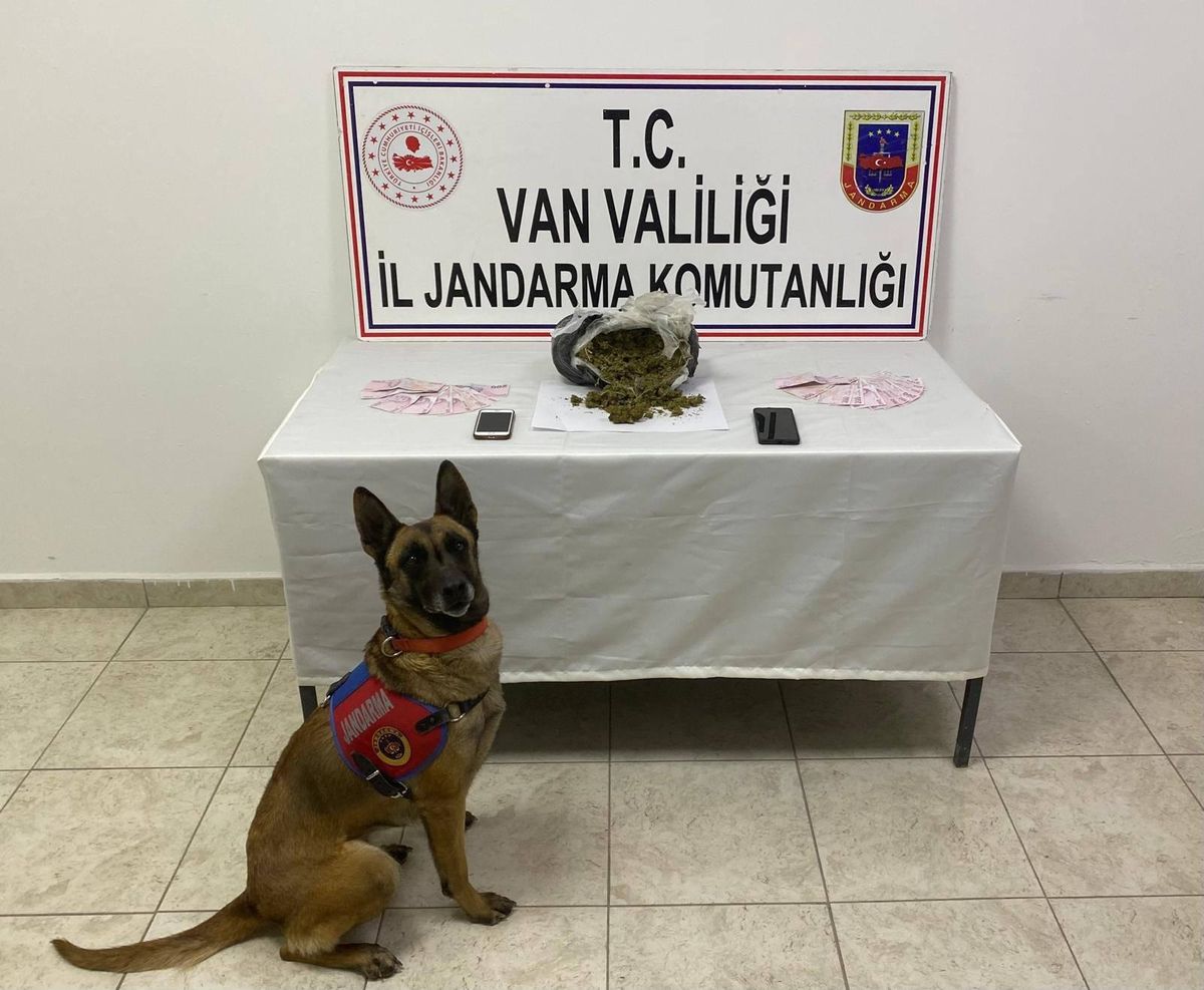 Van'da Mezarlık Yakınında 1 Kilo 64 Gram Skunk Ele Geçirildi