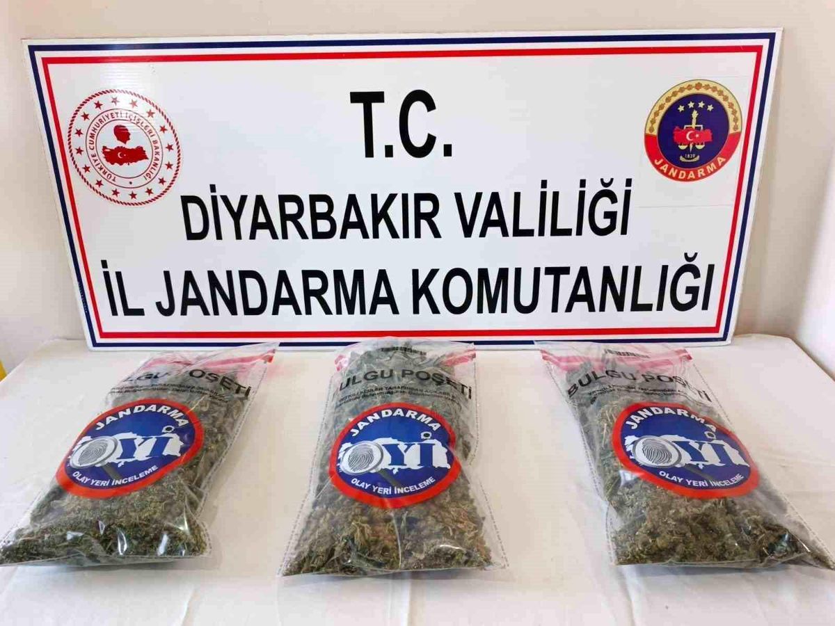 Diyarbakır'da 25 kilo esrar ele geçirildi