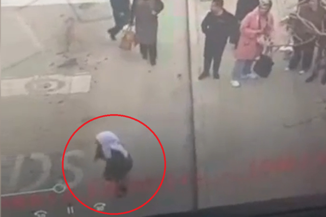 سرق محفظة المرأة بحجة التسول وهرب
